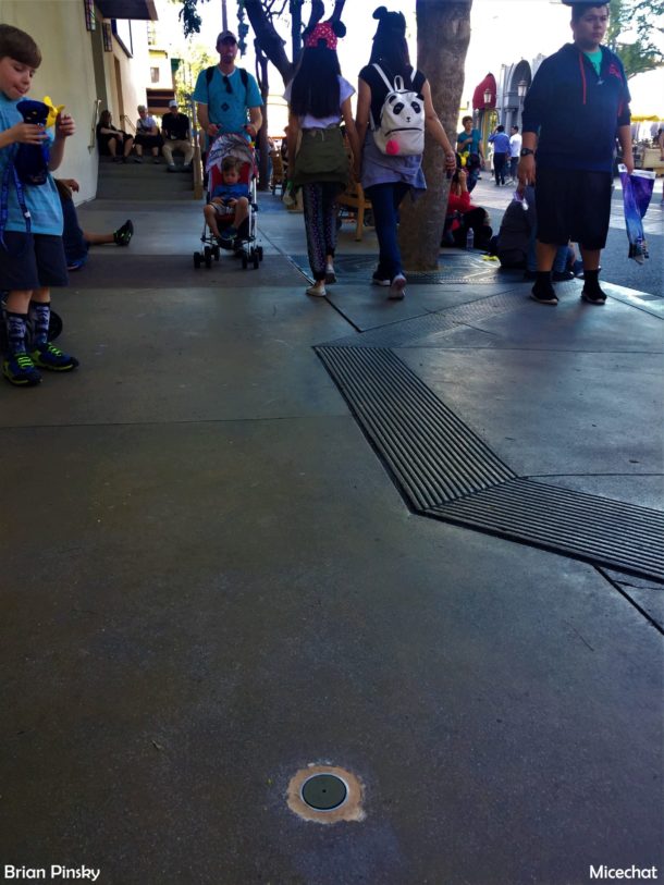 , Disneyland Resort Photo Update: Bug Off