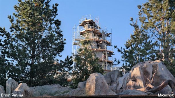 , Disneyland News and Photo Update – Pretty in Pink