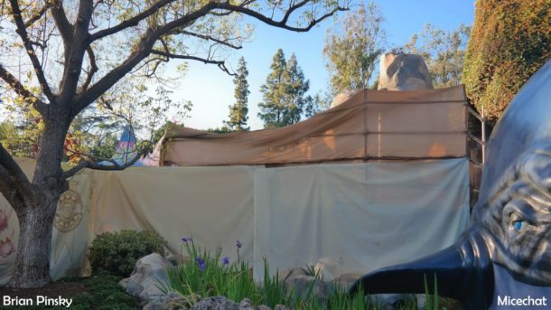 , Disneyland News and Photo Update – Pretty in Pink
