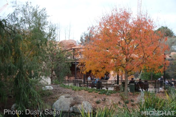 , Disneyland Resort Update and the Discounts of Doom