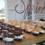IMG_7260MiceChat-Disneyland-014