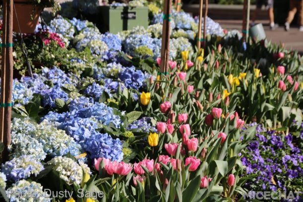 , Disneyland Resort Update – Pixar with a “P”