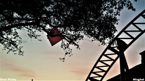 , Knott’s Berry Farm Update: Peanuts Celebration