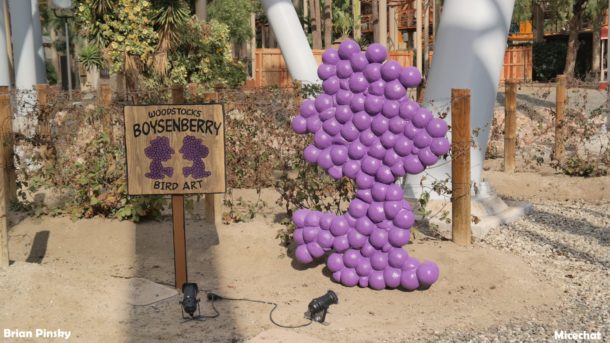 , Knott’s Berry Farm Update: Peanuts Celebration