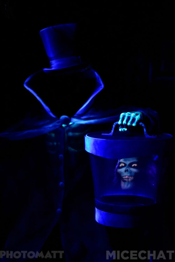 , Disneyland Update – Price Jump, New Vyloos, Confirmations