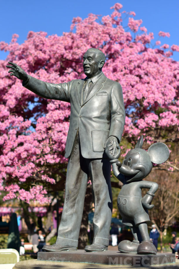 , Disneyland Update – The Rose Gold Rush of ’18
