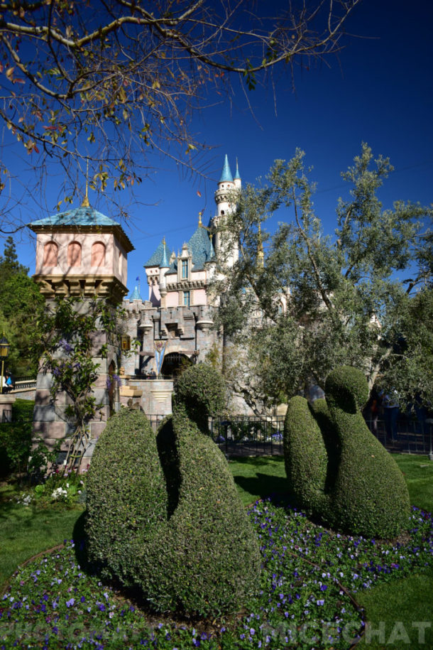 , Disneyland Update – The Rose Gold Rush of ’18