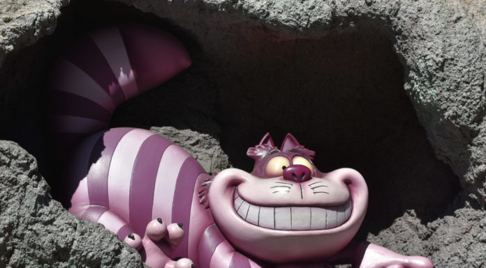 Disneyland Update – The Rose Gold Rush of ’18