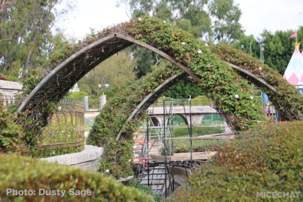 , Disneyland Update: Open Despite Appearances
