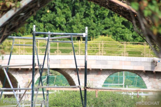 , Disneyland Update: Open Despite Appearances