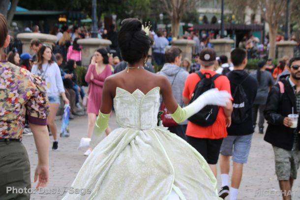 , Disneyland Update – Price Jump, New Vyloos, Confirmations