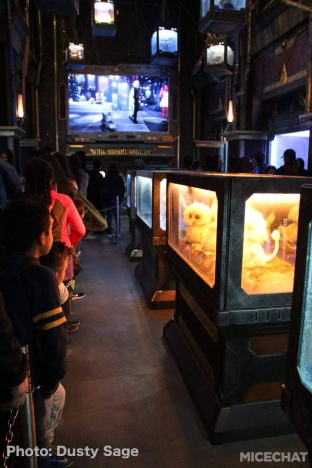 , Disneyland Update – Price Jump, New Vyloos, Confirmations