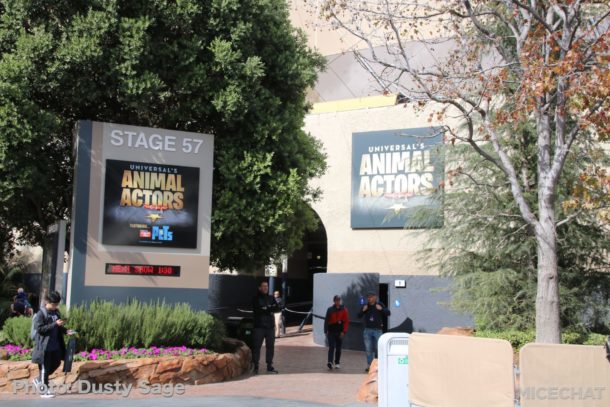 , Universal Studios – Lunar New Year and Things to Come