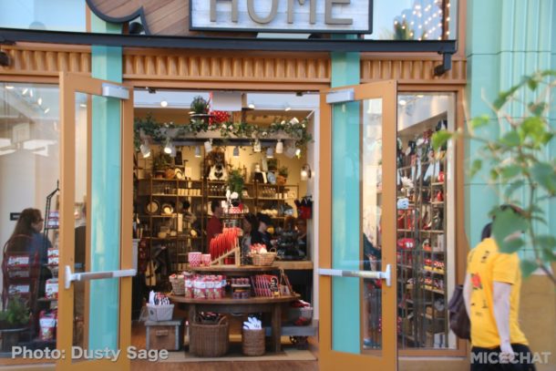 , Disneyland Resort Update: Hub Revealed and Black Panther