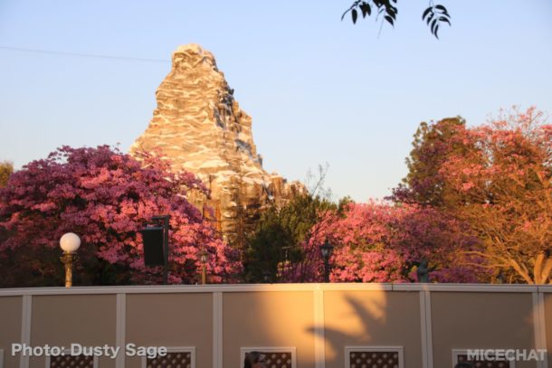 , Disneyland Update: Open Despite Appearances