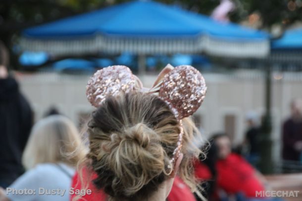 , Disneyland Update: Open Despite Appearances