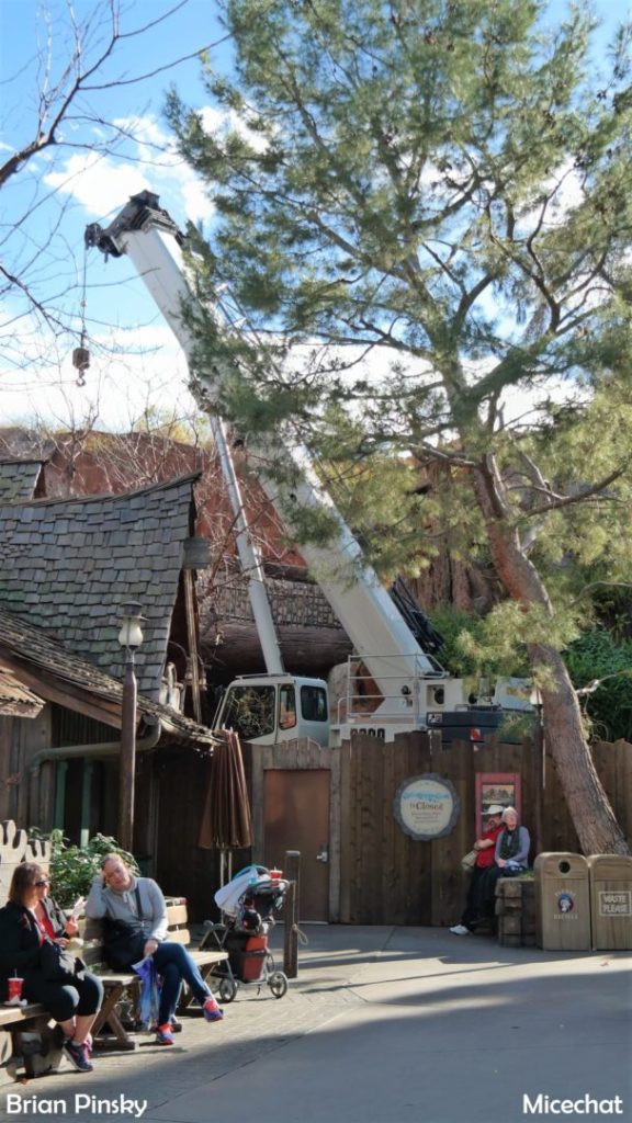 , Disneyland Update: Open Despite Appearances