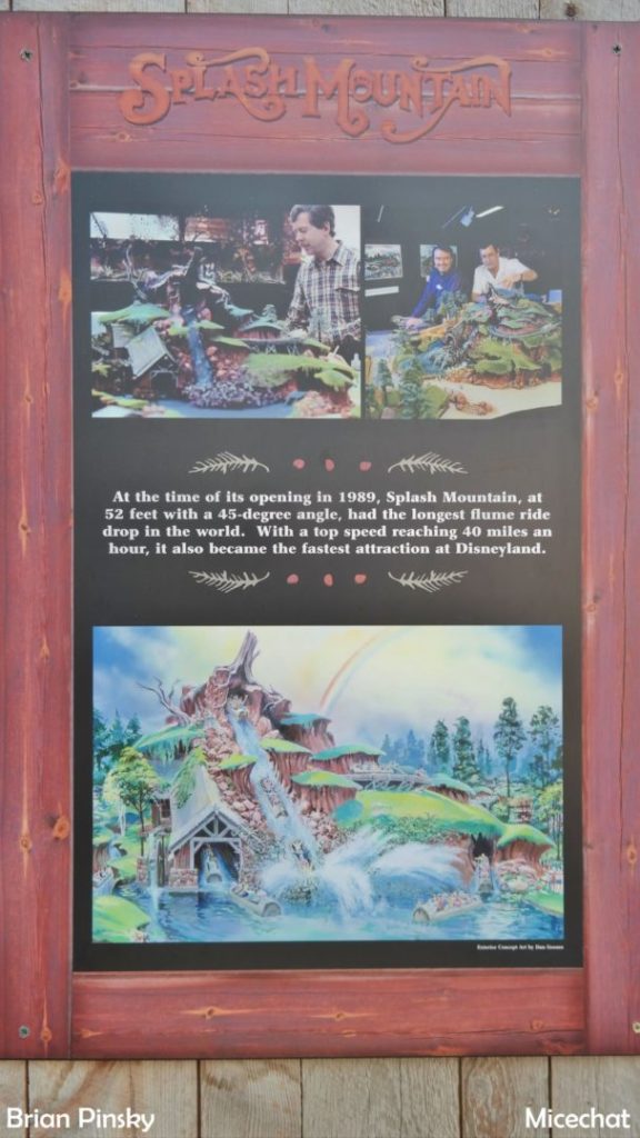 , Disneyland Update: Open Despite Appearances