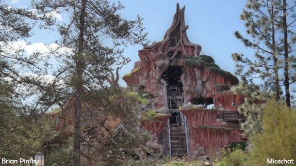 , Disneyland Update: Open Despite Appearances