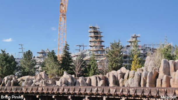 , Disneyland Update: Open Despite Appearances