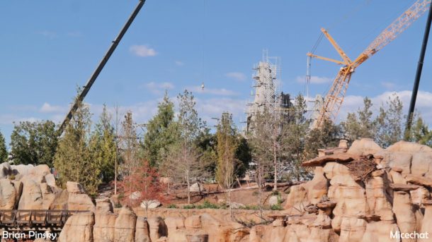 , Disneyland Update: Open Despite Appearances