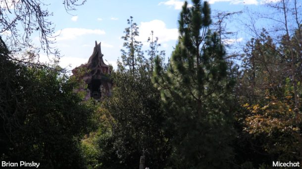 , Disneyland Update: Open Despite Appearances