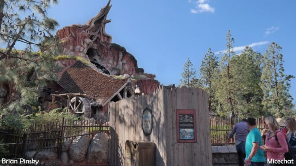 , Disneyland Update: Open Despite Appearances