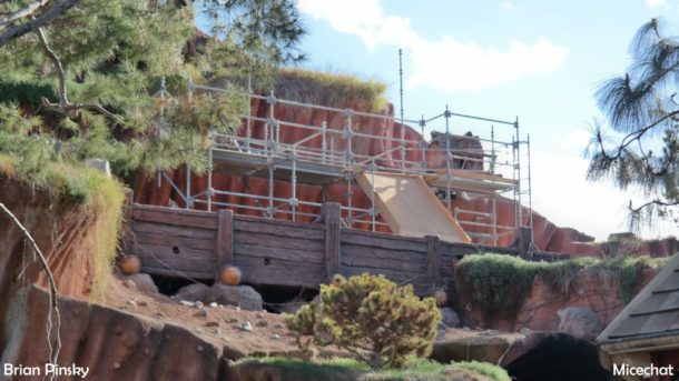 , Disneyland Update: Open Despite Appearances
