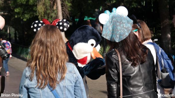 , Disneyland Update: Open Despite Appearances