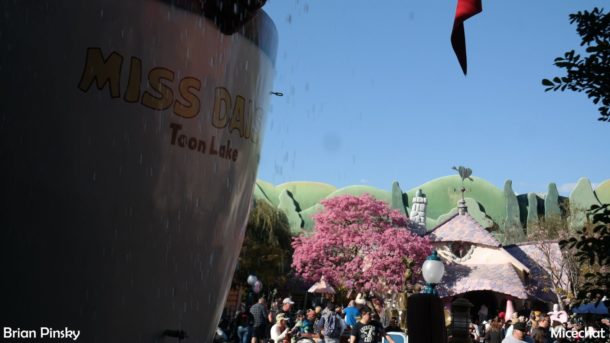 , Disneyland Update: Open Despite Appearances
