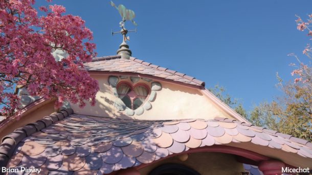 , Disneyland Update: Open Despite Appearances