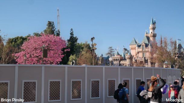 , Disneyland Update: Open Despite Appearances