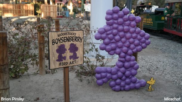 , Knott’s Berry Farm Update: Sky High