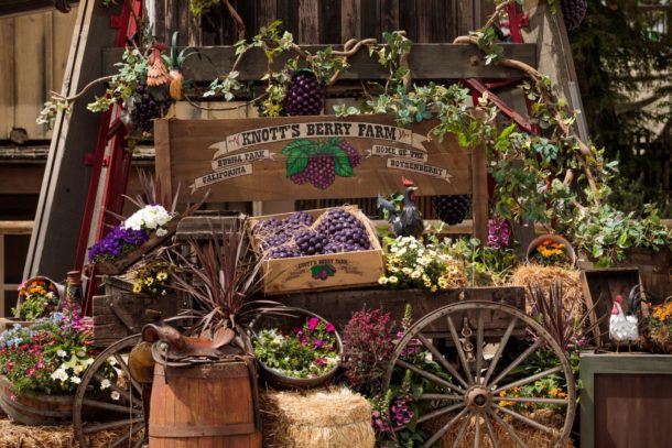 , Knott’s Boysenberry Festival Preview and HangTime Testing