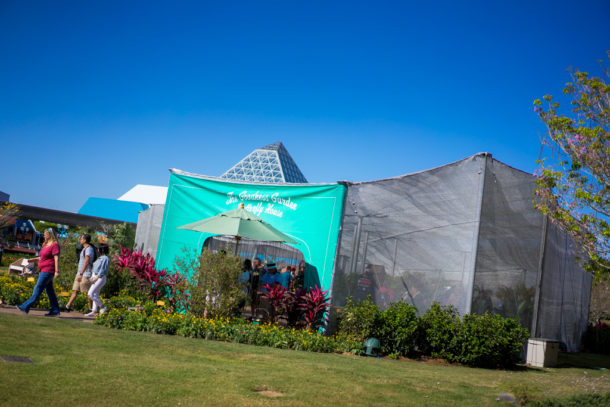 , Dateline Disney World – Flower and Garden Festival Blooms at Epcot