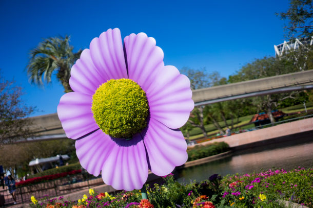 , Dateline Disney World – Flower and Garden Festival Blooms at Epcot