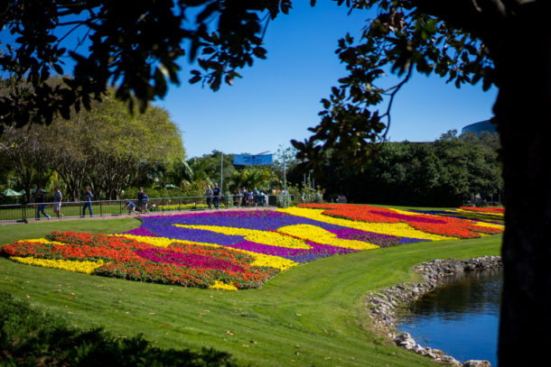 , Dateline Disney World – Flower and Garden Festival Blooms at Epcot