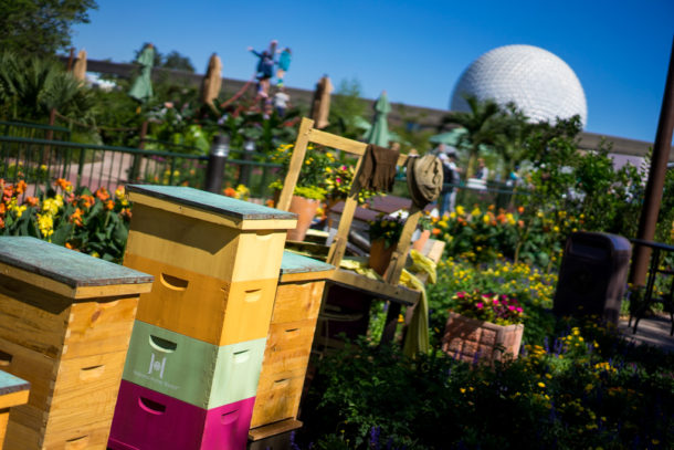 , Dateline Disney World &#8211; Flower and Garden Festival Blooms at Epcot