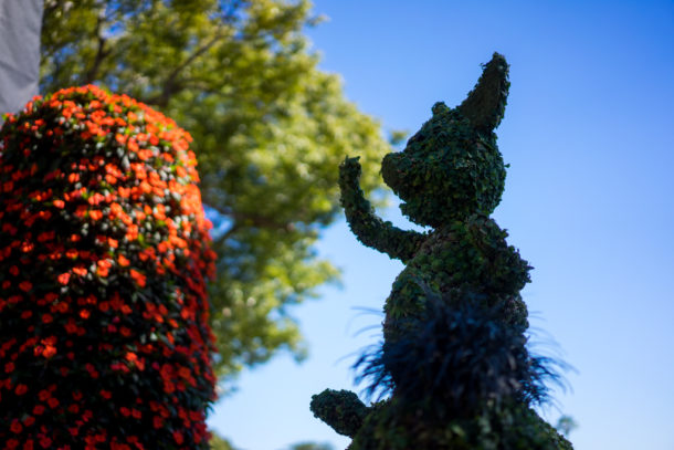 , Dateline Disney World &#8211; Flower and Garden Festival Blooms at Epcot