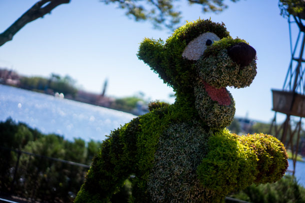 , Dateline Disney World &#8211; Flower and Garden Festival Blooms at Epcot