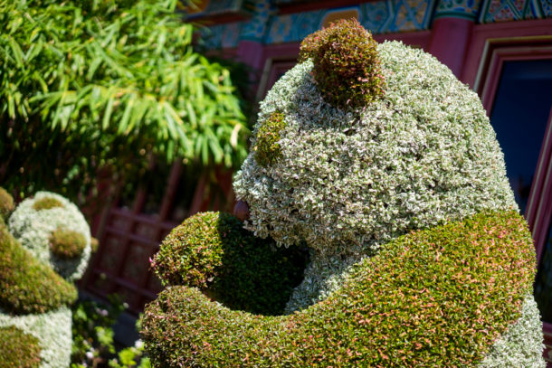 , Dateline Disney World &#8211; Flower and Garden Festival Blooms at Epcot