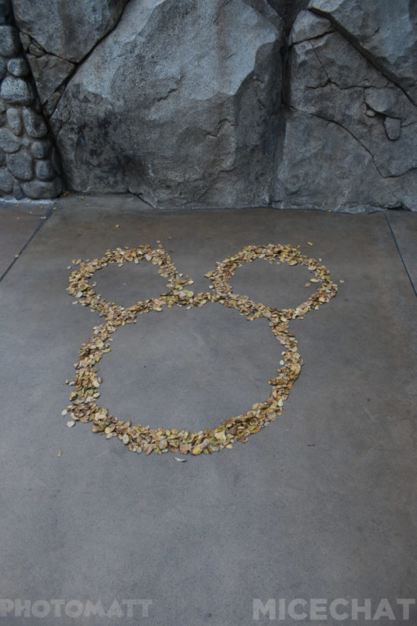 , DCA News and Photo Update – It’s Tough To Be A Super Hero