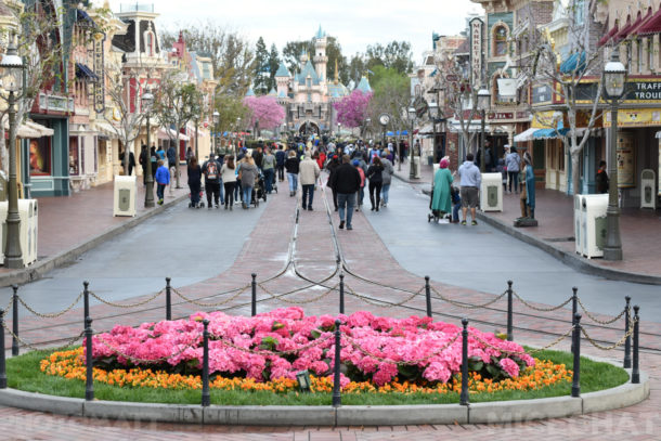 , Disneyland News and Photo Update – Pretty in Pink