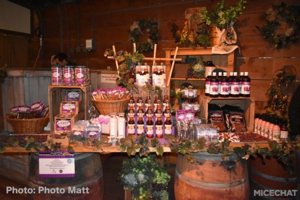, Knott’s Boysenberry Festival Preview and HangTime Testing