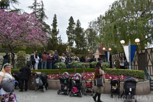 , Disneyland News and Photo Update – Pretty in Pink