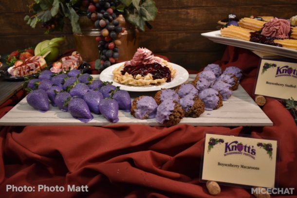 , Knott’s Boysenberry Festival Preview and HangTime Testing