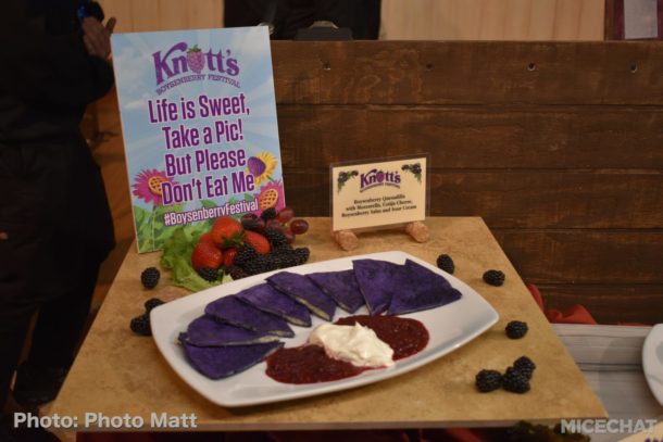 , Knott’s Boysenberry Festival Preview and HangTime Testing