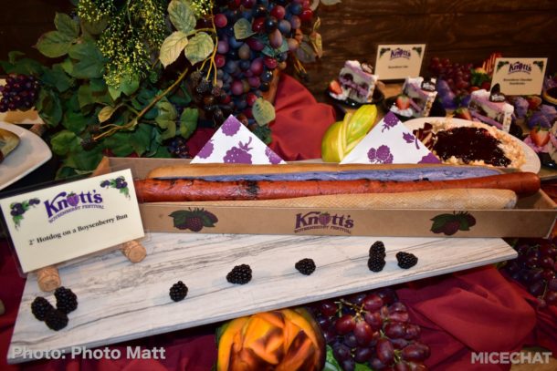 , Knott’s Boysenberry Festival Preview and HangTime Testing