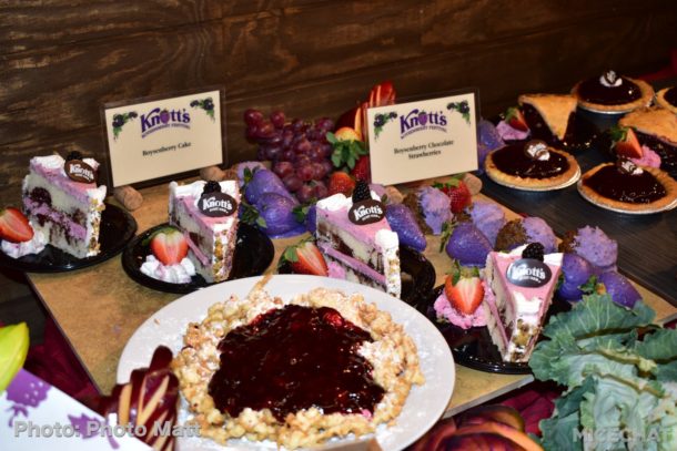 , Knott’s Boysenberry Festival Preview and HangTime Testing