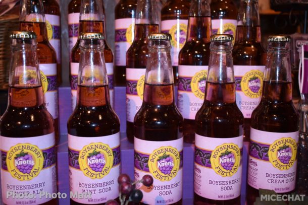 , Knott’s Boysenberry Festival Preview and HangTime Testing